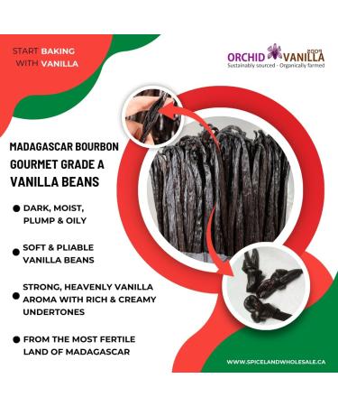 Madagascar Vanilla Beans Bourbon Gourmet Grade-A For Extract And Baking By Weight (1/4 lb (Pack of 1)) - Buy Online on GoSupps.com