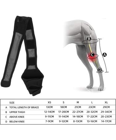 Dog Elbow Brace Dog Elbow Guard for Dog Elbow and Shoulder Support Elbow Hygroma Dysplasia Osteoarthritis Elbow Calluses Pressure Sores and Dislocated Shoulder(S) - Buy Online on GoSupps.com