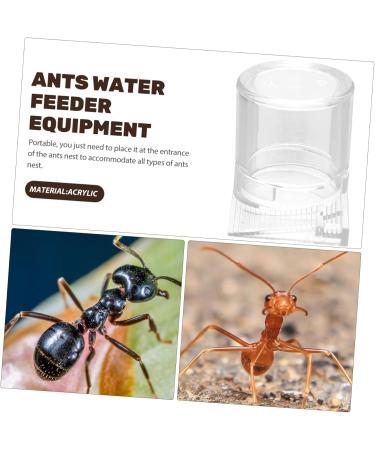 CORHAD Ants Waterer Pet Water Feeder Ant Nest Supplies Ant Cups Water for Ant Garden Ant Water Feeders Beehive Animal - Buy Online on GoSupps.com