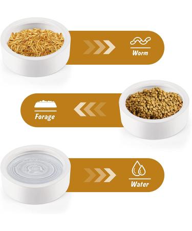 Small Ceramic Reptile Food Dish Bowl & Water Dish Set - 2 Pack | Ideal for Lizards, Geckos, Bearded Dragons, Chameleons, Hermit Crabs | Anti-Escape Design for Mealworms, Crickets, Superworms | 2.75in White - Buy Online on GoSupps.com