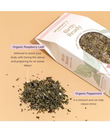 Birth Ready - Award Winning Organic Raspberry Leaf Tea With Peppermint | 15 Non GMO Biodegradable Teabags - Buy Online on GoSupps.com