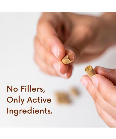 Acid & Indigestion Relief | Doctor-Formulated Antacid Alternative with Ginger Curcumin & Spearmint - 30 Servings - Buy Online on GoSupps.com