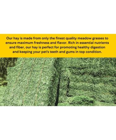 Shorefields Small Compact Meadow Hay Bagged 10kg - Buy Online on GoSupps.com