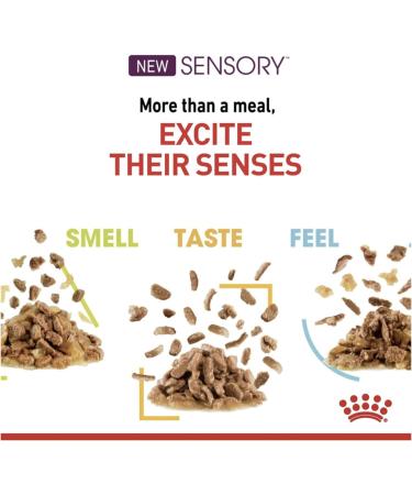 Royal Canin Sensory Smell in Gravy Wet Cat Food (12 x 85g) - Buy Online on GoSupps.com