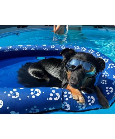 Buy Ginkago Inflatable Dinghy Dog Boat - Pet Air Mattress for Swimming Pool & Beach - Blue - Buy Online on GoSupps.com