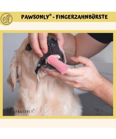 Pawsonly Silicone Finger Toothbrush Set for Dogs & Cats | Dental Care | 2 Pack with Storage Box | Blue & Pink Tooth Cleaning for Small Pets - Buy Online on GoSupps.com