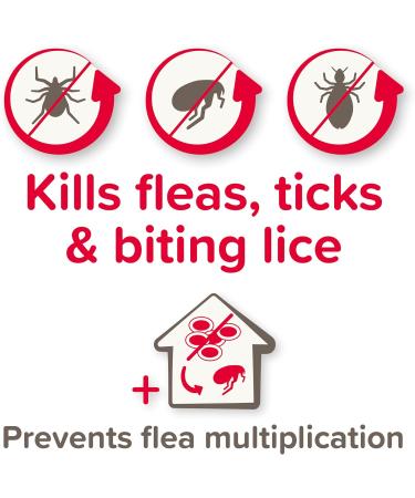 Beaphar FIPROtec Combo for Large Dogs (20-40kg) - Kills Fleas, Eggs, Ticks - Vet Strength Treatment | 6 Pipettes - Buy Online on GoSupps.com