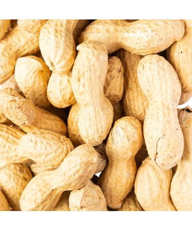  Caporaso dal 1960 Shell peanuts nuts natural dried fruit (200 grams) - Buy Online on GoSupps.com