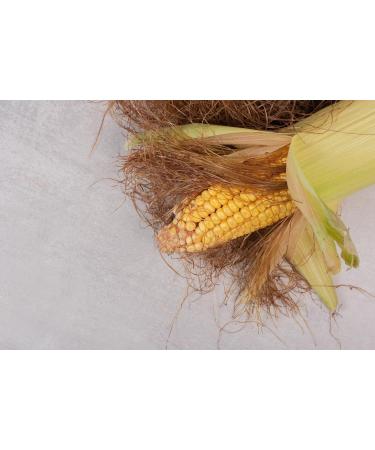DK Corn Silk | Corn Silk | Corn Hair | Corn Hair | Makai Hair | 2 Pack | (100g) - Buy Online on GoSupps.com