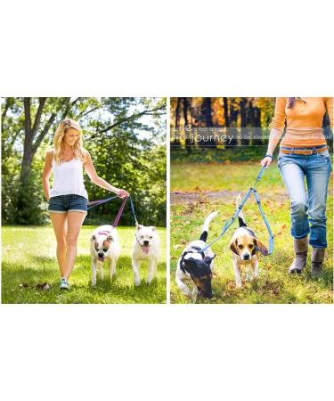 Coowone Green Feed Bag for Dog Training & Treats | Perfect Dog Food & Walks Accessory - Buy Online on GoSupps.com