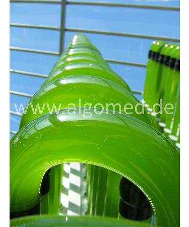 Premium Chlorella Powder from Germany - Vegan Pure Chlorella Vulgaris (1kg) - Organic Superfood | Algomed - Buy Online on GoSupps.com