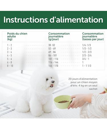 Nature's Protection Superior Care Complete Dry Food for Junior Dogs (3 to 12 Months) All White-Haired Breeds (Maltese Bichon Frise etc.) I Grain-Free I Salmon 10 kg - Buy Online on GoSupps.com