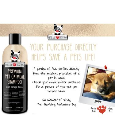 Pet Oatmeal Anti-Itch Shampoo & Conditioner - Soothes Allergies, Dry Skin & Itchiness! Smells Amazing! (1 btl) - Buy Online on GoSupps.com