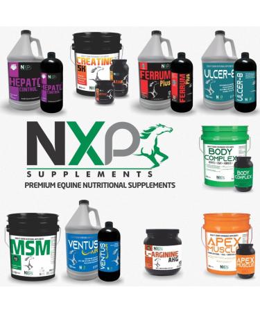 NXP Supplements L-Arginine AKG - Boosts Performance Muscle Energy & Recovery Nitric Oxide Booster Vasodilation Nutrient Flow Support Supplement for Horses - 1 lb / 45 Servings - Buy Online on GoSupps.com