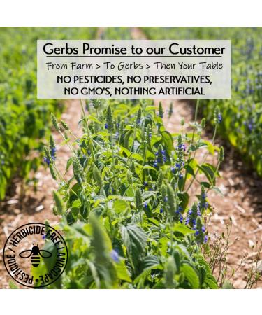 GERBS Raw Black Chia Seeds 2 LBS | Non-GMO, Keto & Paleo Friendly | Resealable Bulk Bag | Ideal for Yogurt, Smoothies & Oatmeal | Gluten & Nut Allergy Free - Buy Online on GoSupps.com