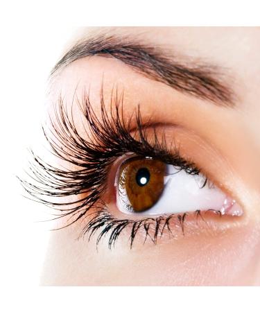 P-Beauty Silk Lashes | Professional Individual Eyelashes for Extensions | Curl D 0.15mm Thickness Length 7-14mm | Shop Internationally - Buy Online on GoSupps.com