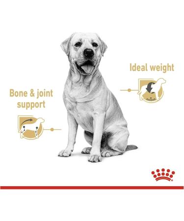 Royal Canin Labrador Retriever Adult in Gravy Wet Dog Food 140g (Pack of 10) - Buy Online on GoSupps.com