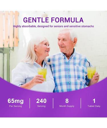 Hievy Iron Supplement Ferrous Sulfate 325mg with Vitamin C, 240 Vegan Tablets (8 Month Supply) - 65mg Elemental Iron - Non-GMO, Vegan - Made in USA 240 Count (Pack of 1) - Buy Online on GoSupps.com