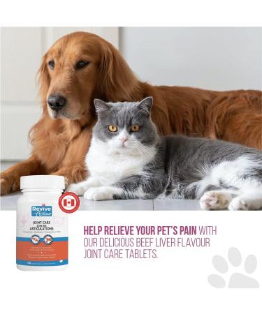 Revive Active Joint Care Tablets for Dogs and Cats 120ct Relieves Inflammation Promotes Optimal Growth and Development Joint Mobility and Good Health. Tablets 120ct - Buy Online on GoSupps.com