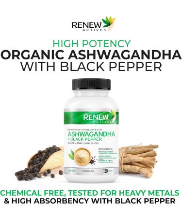 Renew Actives Organic Ashwagandha Capsules + Black Pepper for Maximum absorption - Used in Ayurveda as a Sleep Aid Memory Support Energy & Overall Wellness - Non-GMO Vegan & Gluten Free - 120 Easy-to-Swallow Capsules - Made in Canada. 120 count (Pack of 1 - Buy Online on GoSupps.com