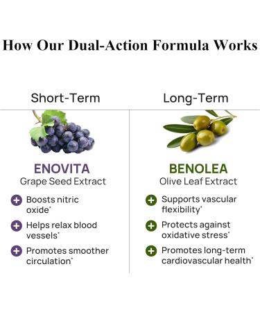 Durable Blood Pressure Benolea Olive Leaf & Enovita Grape Seed Extract Healthy Circulation Nitric Oxide & Artery Support Doctor Formulated Vegan Non-GMO Made in USA (60 Capsules) 60 Count (Pack of 1) - Buy Online on GoSupps.com