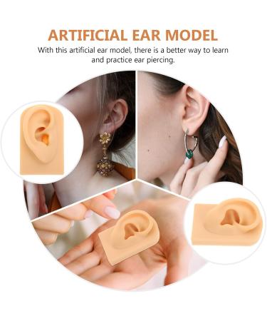 Frcolor Body Display Practice Props - Flexible Audio Simulation Training Kit for Ear Piercing Instruction 7.8x4.9cm - Buy Online on GoSupps.com