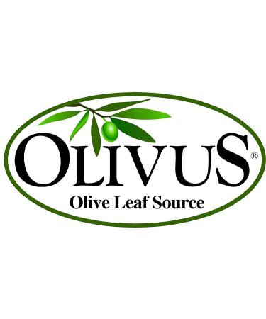 Certified Organic Olive Leaf Tea (16 oz.) - Non-GMO - Spain Sourced, USA Made - Antioxidant Rich Herbal Tea - Buy Online on GoSupps.com