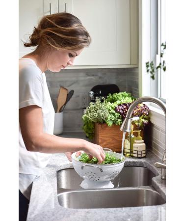 Fruits & Passion Cucina Sea Salt & Amalfi Lemon Luxury Hand Soap with Olive Oil - 16.9 fl oz - Buy Online on GoSupps.com