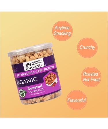 Blessfull Healing Organic Natural Vegan Cheesy Jalapeno Roasted Peanuts Crunchy Healthy Snacks 300 Gram - Buy Online on GoSupps.com