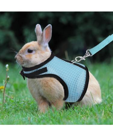 Adjustable Soft Rabbit Dishes | 2 Pack with Elastic Drag Line for Cats & Small Pets | Ideal for Walking & Jogging - Buy Online on GoSupps.com