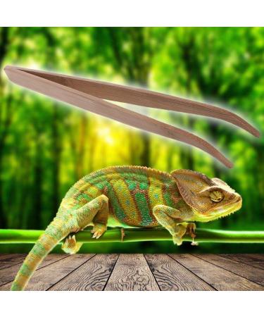 Eco-Friendly 28 cm Angled Reptile Feeding Tongs - Bamboo | Shop Internationally - Buy Online on GoSupps.com