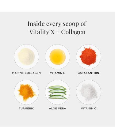 JSHealth Vitamins Vitality X + Collagen - Beauty Powder Supplement with Aloe Vera Silica and Vitamins C & E to Nourish Hair Skin and Nails (180g) - Buy Online on GoSupps.com