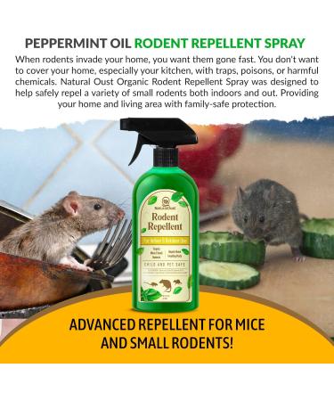 Natural Peppermint Oil Spray for Pest Control - Eco-Friendly Mice and Rat Repellent - Humane Alternative to Traps - Buy Online on GoSupps.com