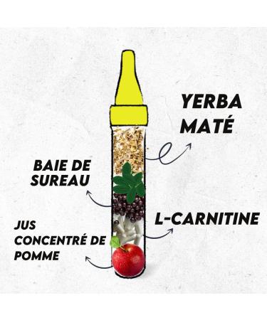 Fitness Shot Silhouette | Carnitine 2000mg with Elderberry and Mate | Body Fat Burner | Concentrated Formulation | 32 Day Program | Pur Vita | French Innovation - Buy Online on GoSupps.com