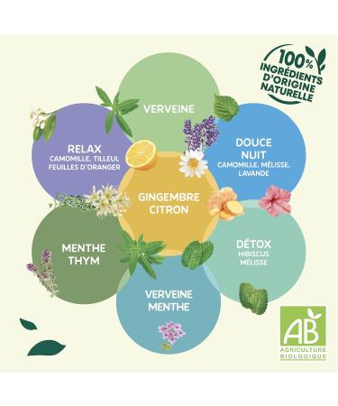 Elephant Organic Sweet Night Infusion Chamomile Lemon Balm and Lavender Flavor Well-Being and Relaxation 100% Natural Ingredients - Buy Online on GoSupps.com