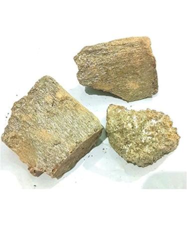RAW HERBS/JADI BOOTI DRIED MURDASINGI MURDAR SINGH MURDAR SENG LITHARGE (100gm) - Buy Online on GoSupps.com