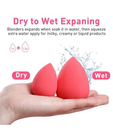 5 Pcs Latex-Free Makeup Sponge Set with Holder - Wet & Dry Beauty Blenders for Foundation & Powder - Buy Online on GoSupps.com