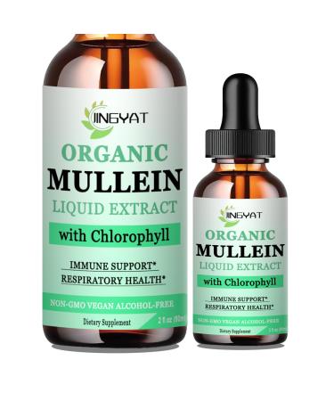 Mullein Drops for Lungs | Powerful Mullein Leaf Extract with Chlorophyll Vitamin C Cinnamon for Immune Support Detox & Respiratory Support Bronchial Support | Non-GMO Kosher Gluten-Free Unflavored 2 Fl Oz (Pack of 1)