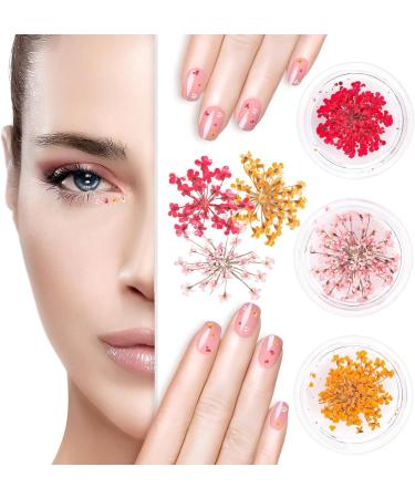 Nail Art Flowers Set Decoration - Geln gel Zubeh r 3 Farben(orange blassrosa Rose) Nail Art Aufkleber trockene Blumen Kit getrocknete Blumen Zubeh r Set DIY Nageldekoration - Buy Online on GoSupps.com