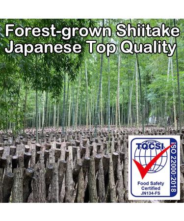 Organic Japanese Shiitake Powder 40g - Forest-Grown Umami Booster for Natural Flavor - Buy Online on GoSupps.com