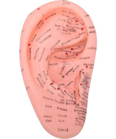Ear Zone Model XC-514A - Height 7 | Premium Quality Ear Protection - Buy Online on GoSupps.com