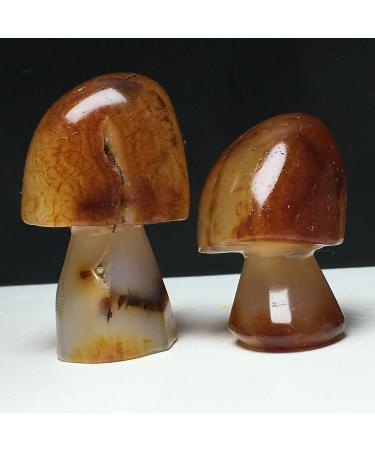 Natural Crystal Rough Stone Natural Agate Crystals raw specimens Hand-Carved Mushrooms Balance Gemstone Decoration - Buy Online on GoSupps.com