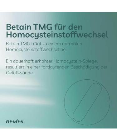 Buy Premium Betaine TMG Powder - 150g | 98% Purity | 2400 mg per Serving | No Additives | Lab Tested - International Shipping Available - Buy Online on GoSupps.com