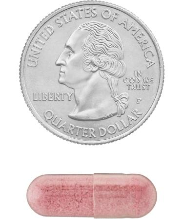 Probiotics for Women Capsules Dietary Supplement 1 Billion CFUs - Digestive Health by Spring Valley (60 Capsules - Pack of 1) - Set by Basket Goods - Buy Online on GoSupps.com