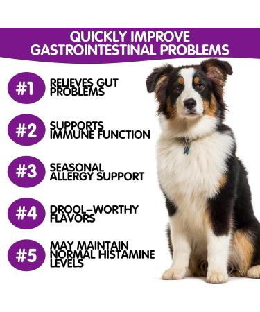 Tioueo Probiotic Digestive Chews 120pcs - Digestive Harmony, Skin Comfort, Allergy Relief, Immune Boost for Dogs - Ultimate Canine Wellbeing - Buy Online on GoSupps.com