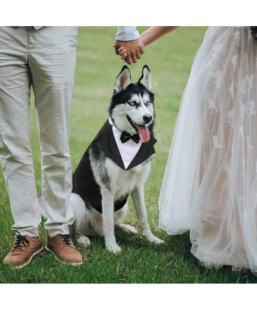 Kaket Formal Dog Tuxedo Bandana with Neck Tie Designs - Black (L) - Buy Online on GoSupps.com