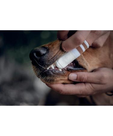 Shop Lila Loves IT Dog Toothbrush - Antibacterial Micro-Fleece Dental Care Fingerling for Healthy Gums | International Shipping - Buy Online on GoSupps.com