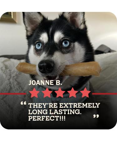 Redbarn Collagen Sticks X-Large Count of 25 Beef 4.2 Ounce (Pack of 25) - Buy Online on GoSupps.com