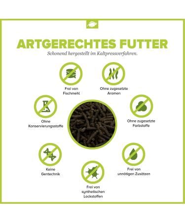 NatureHolic - Cheraxfeed Adult - Food for crayfish in Aquarium - 30g - Buy Online on GoSupps.com