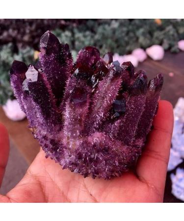 Natural Crystal Rough Natural Purple Phantom Quartz Amethyst Gift (Size : 600g) (Size : 600g) - Buy Online on GoSupps.com